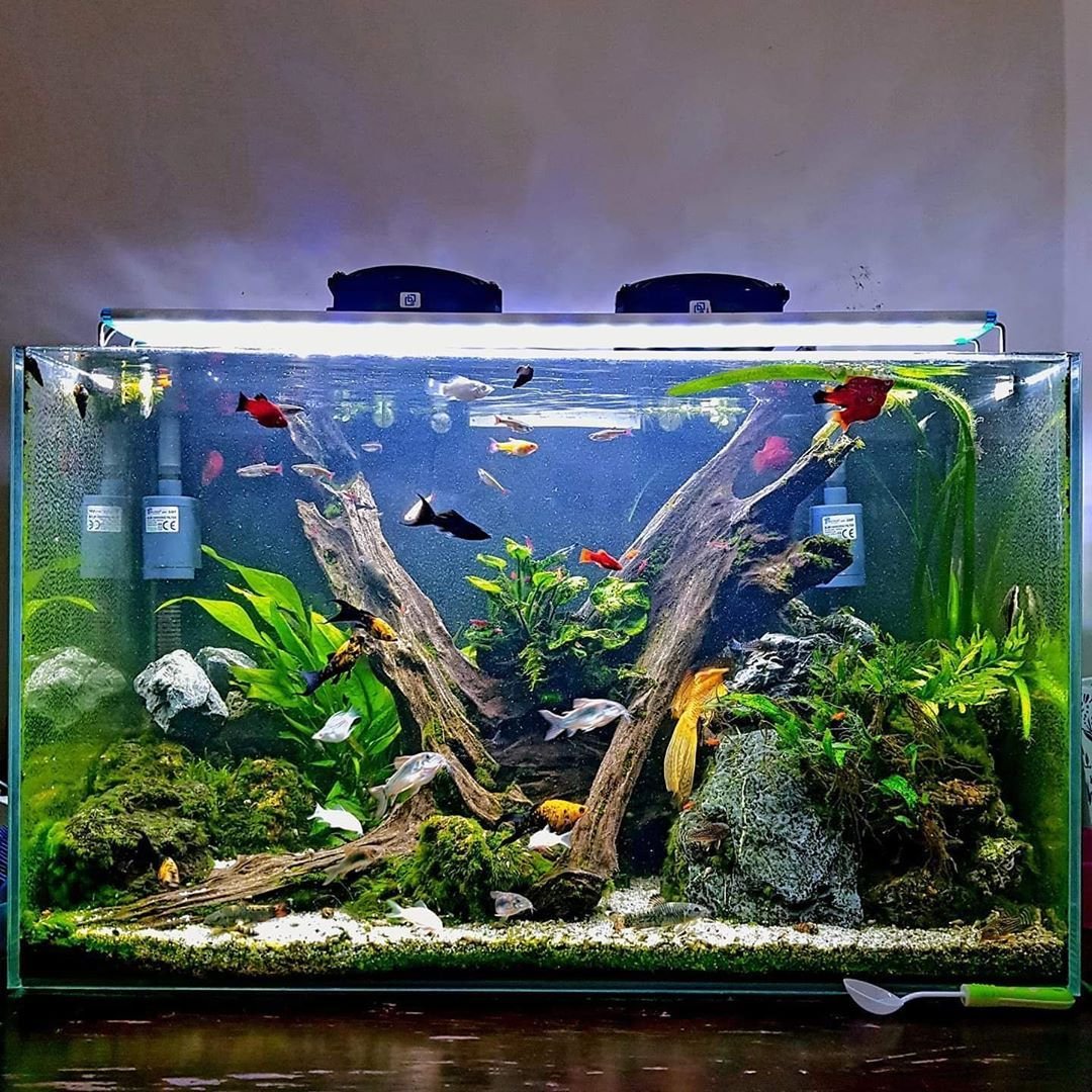 Акваскейп аквариум 350 литров