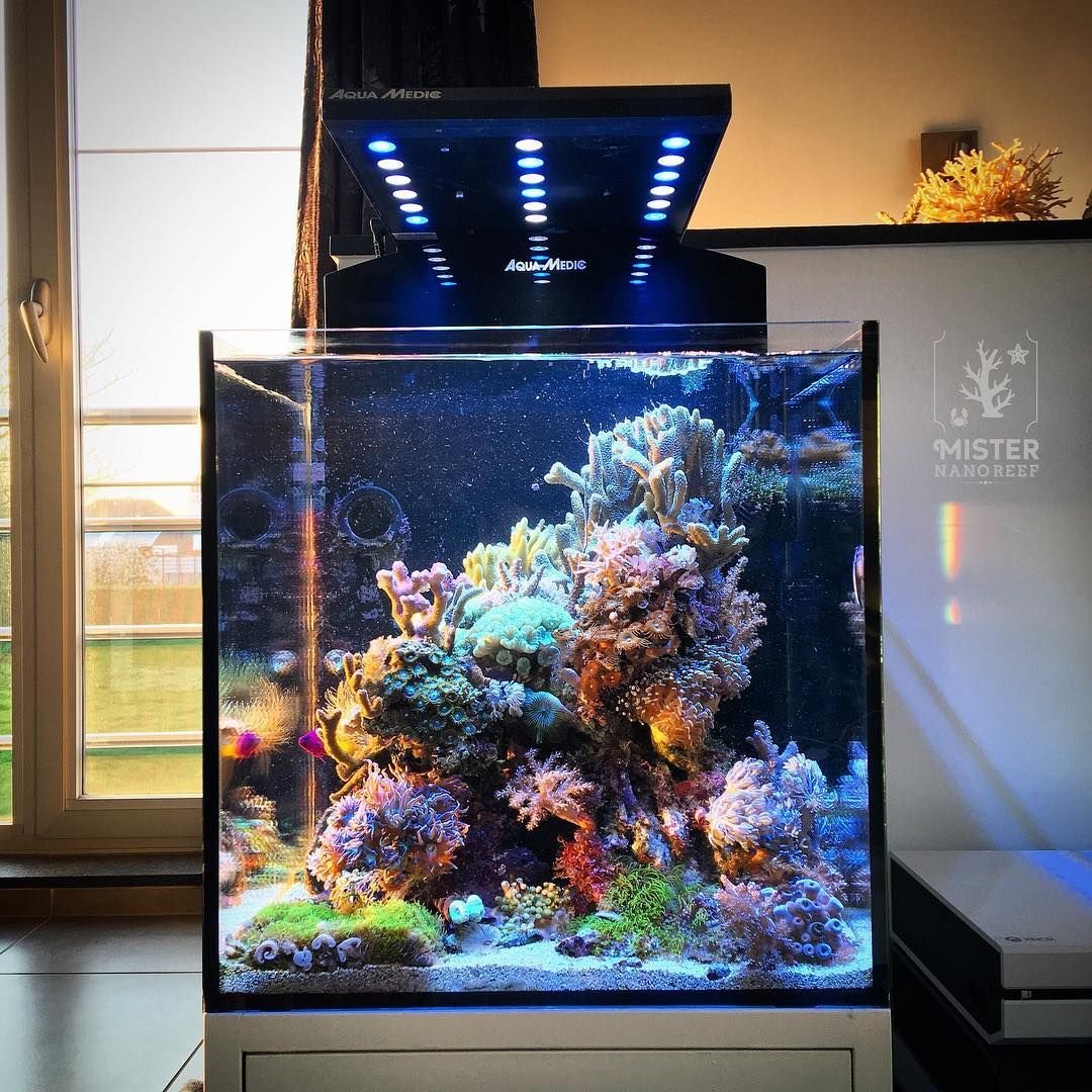 Нано куб морской риф