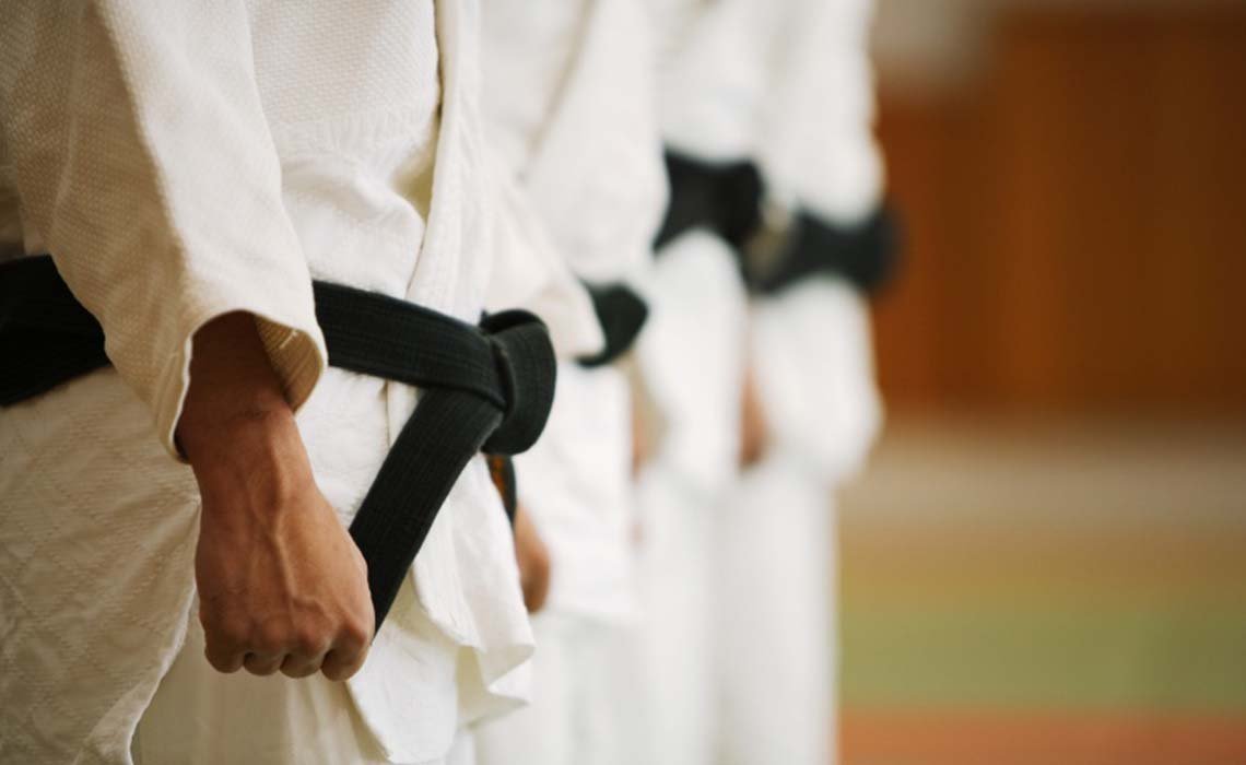 Карате киокушинкай жстетика