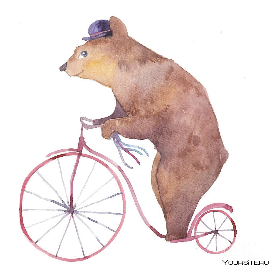 Мишка на велосипеде