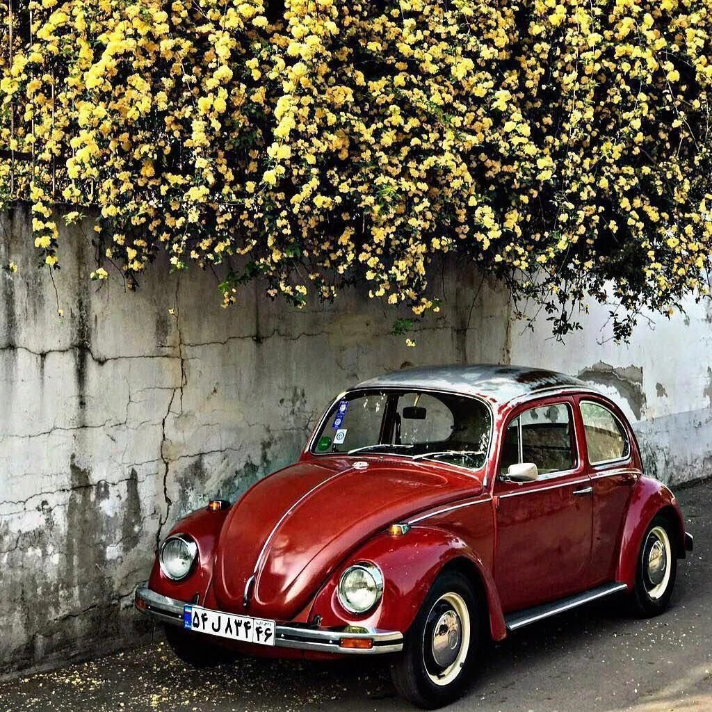 Фольксваген Жук классика