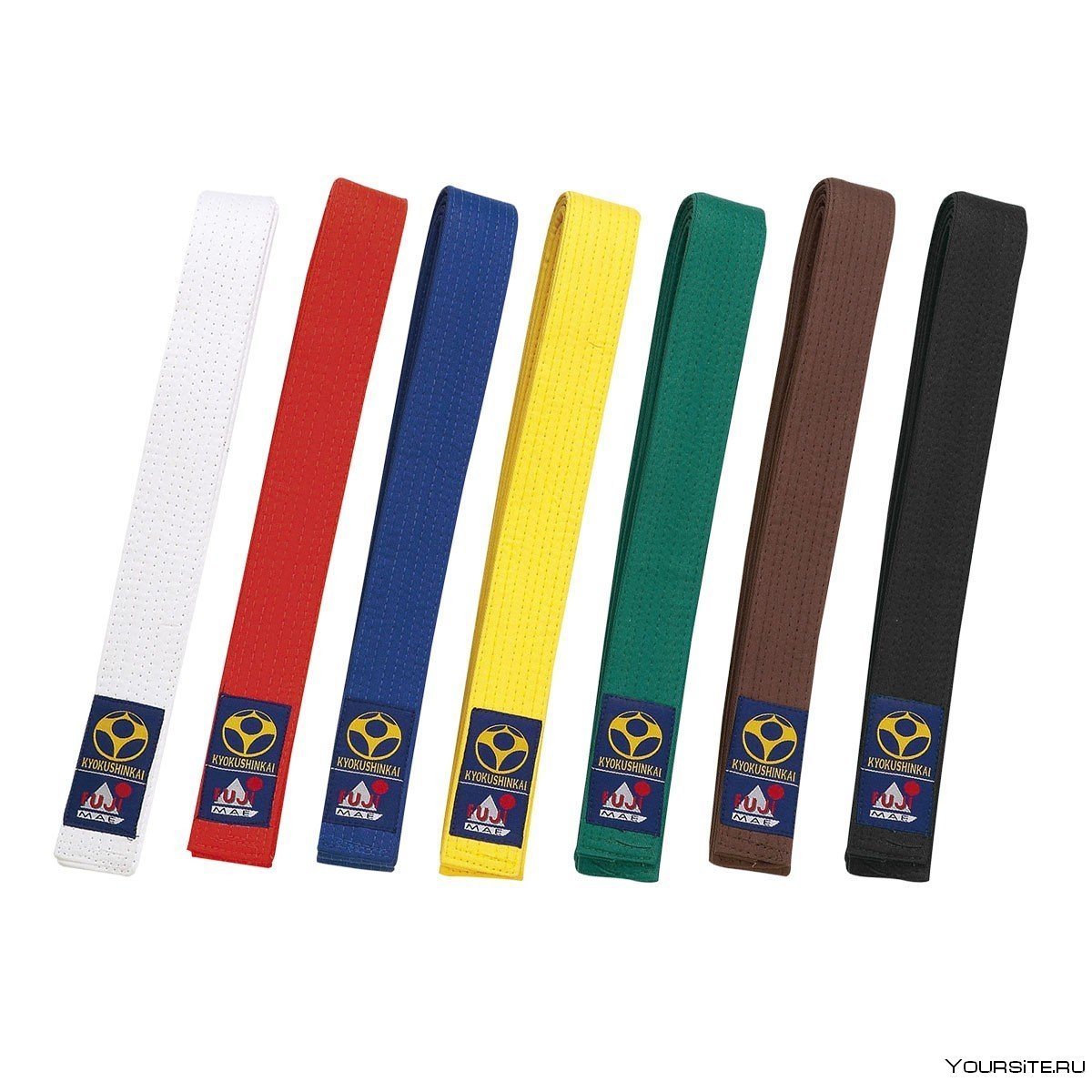 Дзюдо кю и пояса