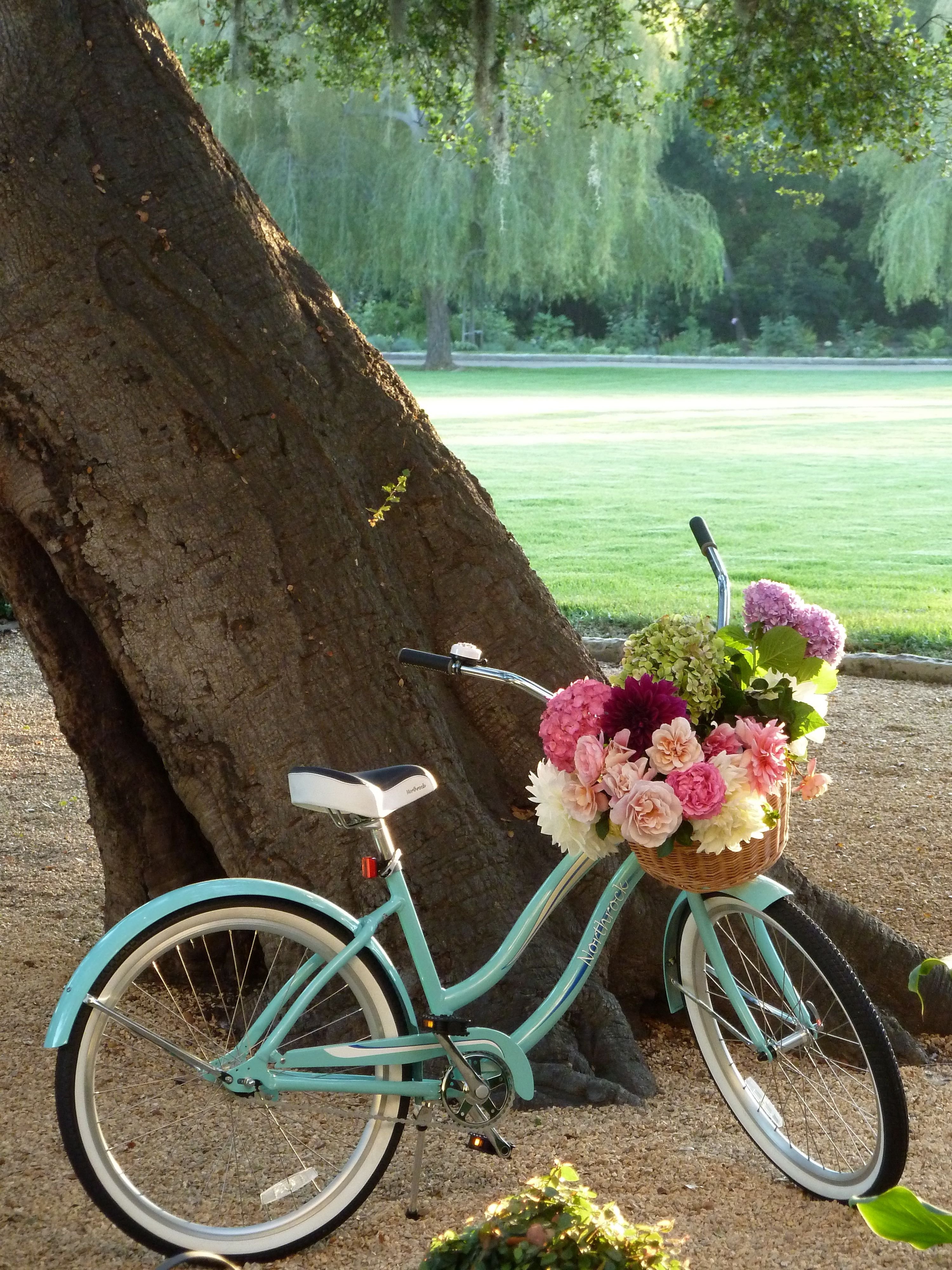 Велосипед в цветах зеленый. Красивые велосипеды. Велосипед с цветами. Красивый велосипед с цветами. Красивый велик.