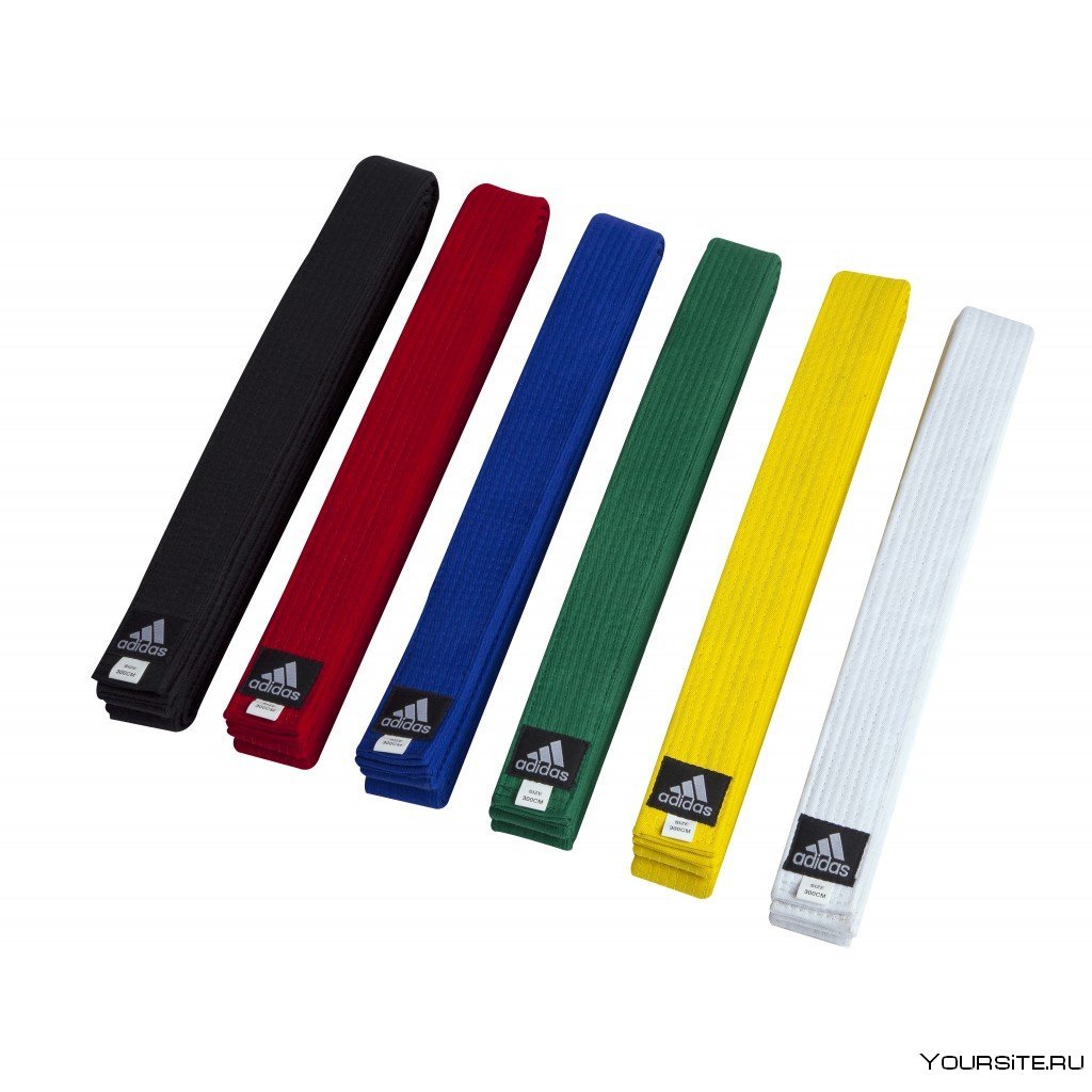 Пояса в Грейси джиу-джитсу