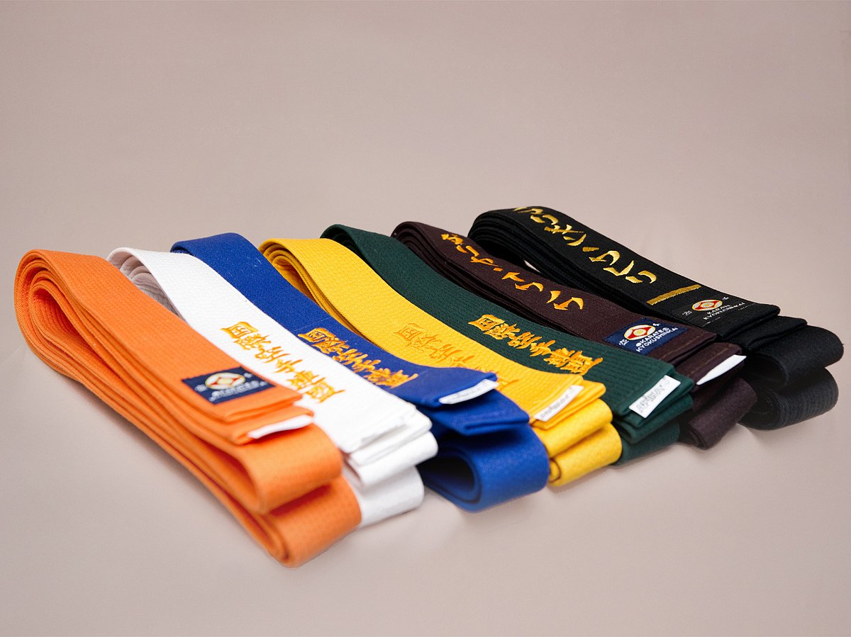 Карате разноцветный пояс