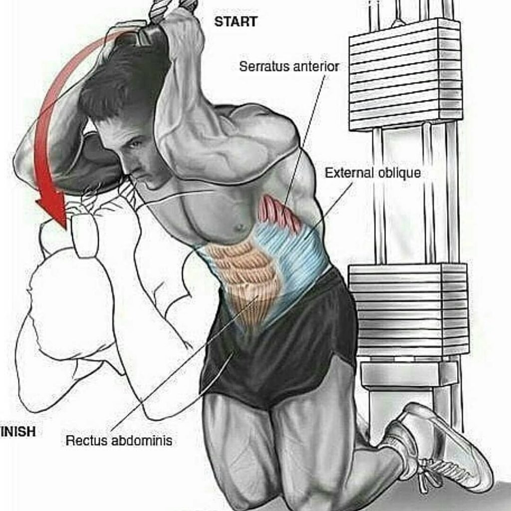тренировка груди и спины для мужчин фото 71