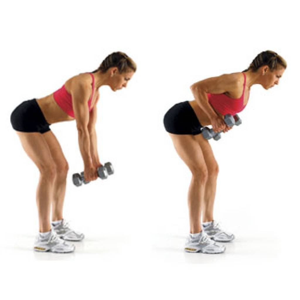 Упражнения для широчайших мышц спины с гантелями
