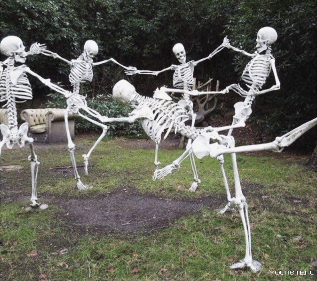 Хоровод скелетов