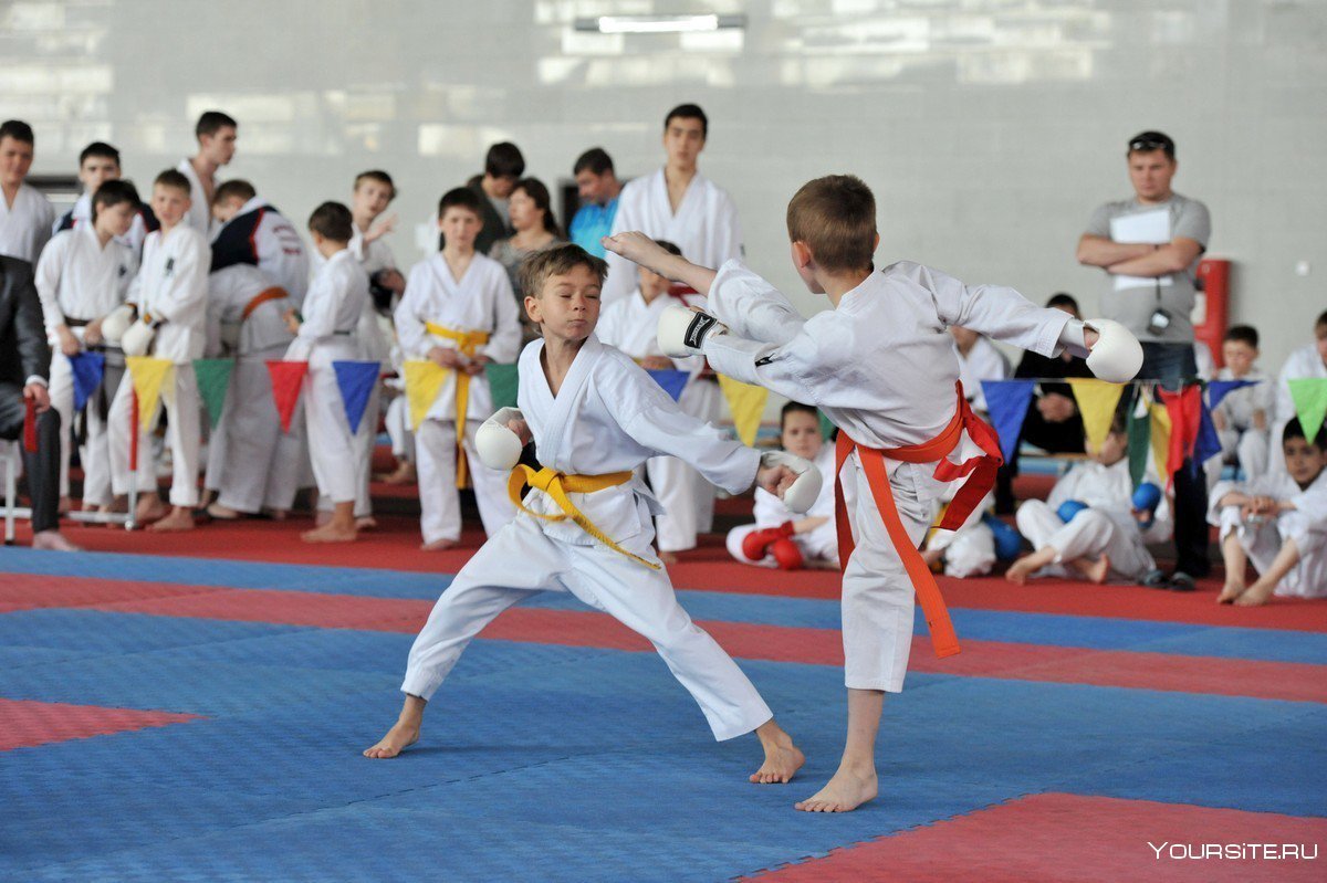 Киокушинкай каратэ дети соревнования