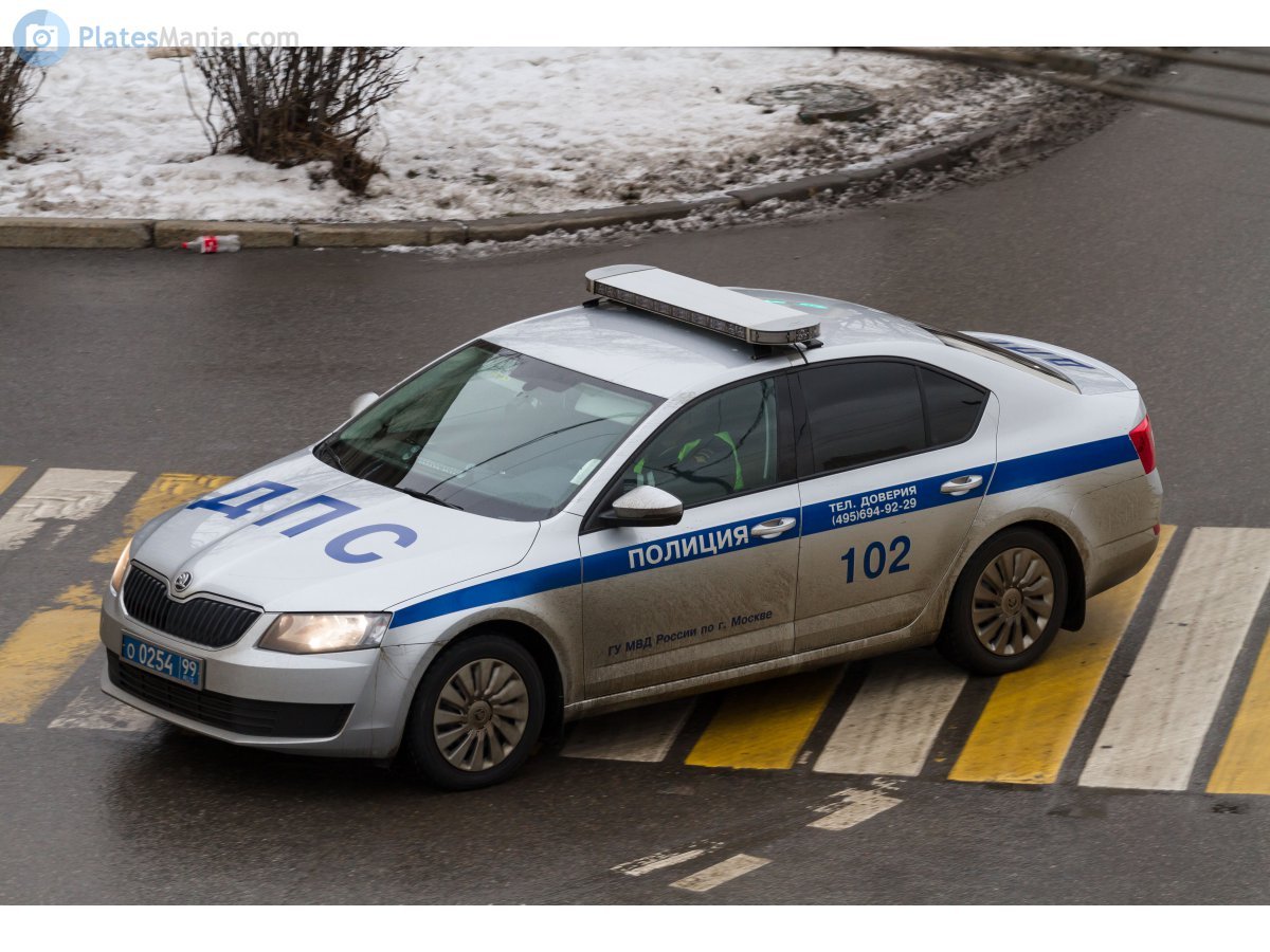 Skoda Octavia 2020 Полицейская ДПС