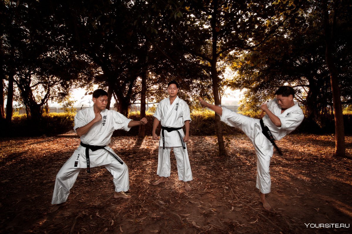 Боевые искусства Японии каратэ