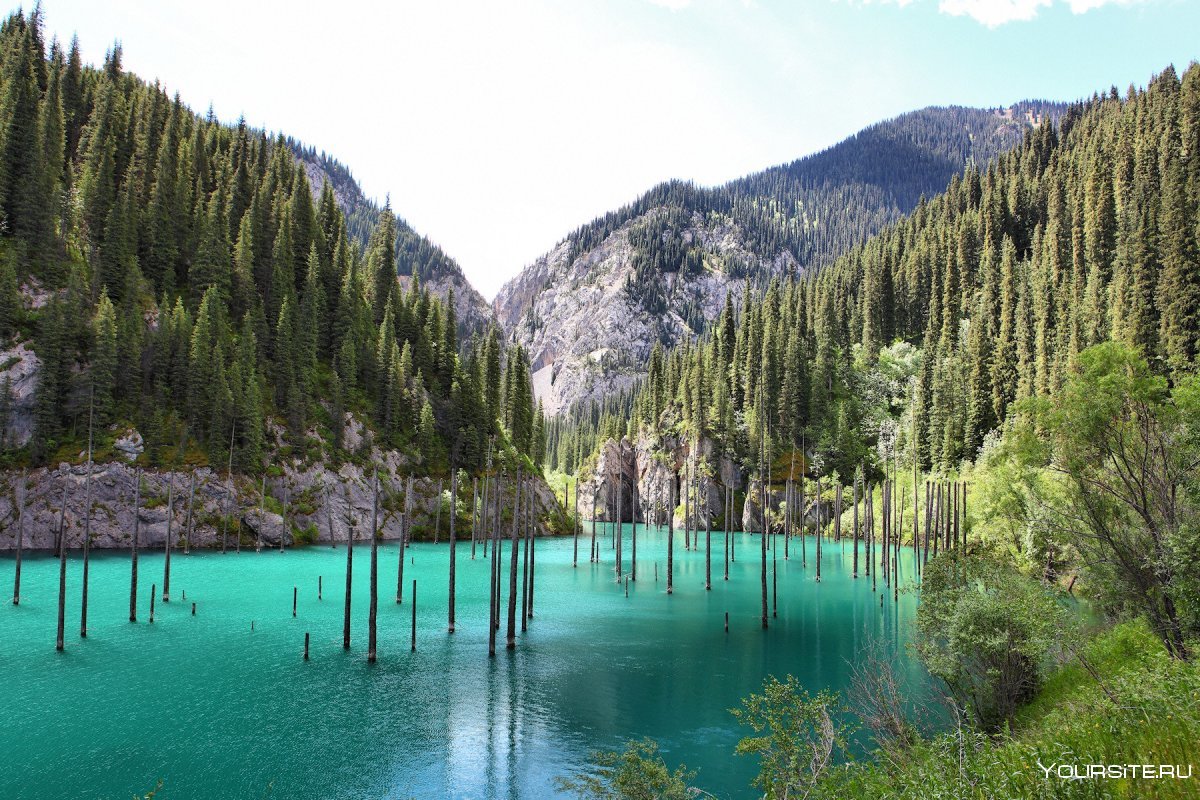 Озеро Алма картино