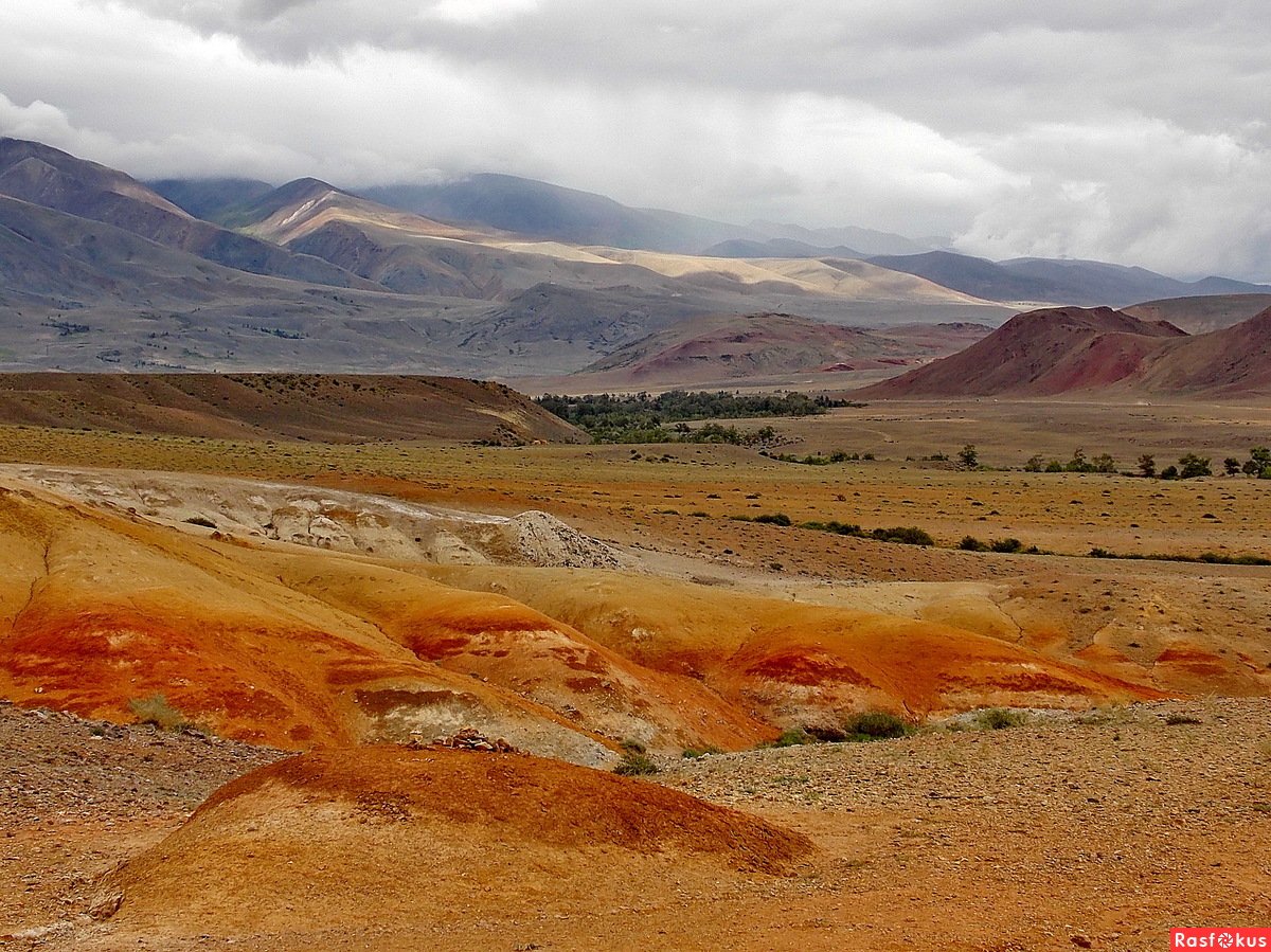 Марсово поле осенью горный Алтай