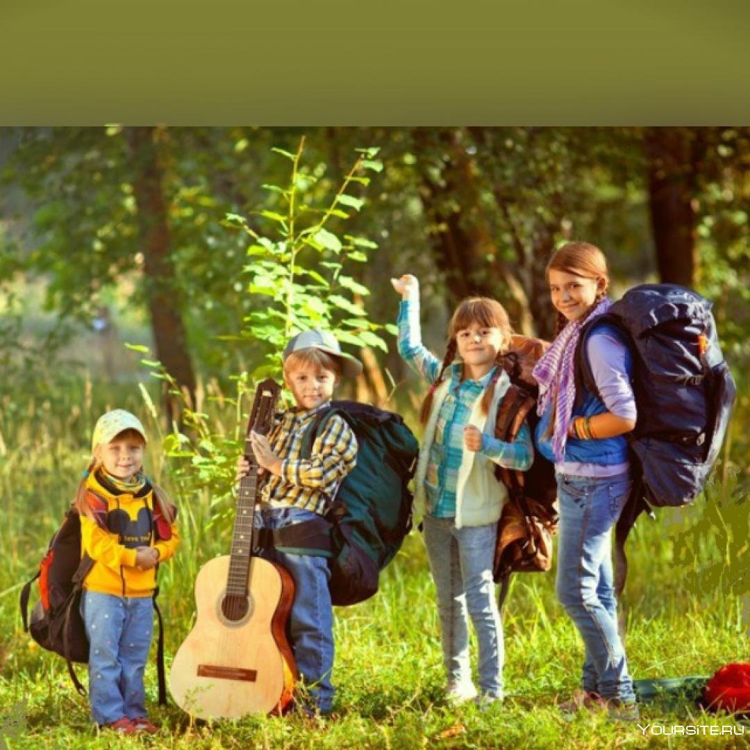 Экскурсия в лес