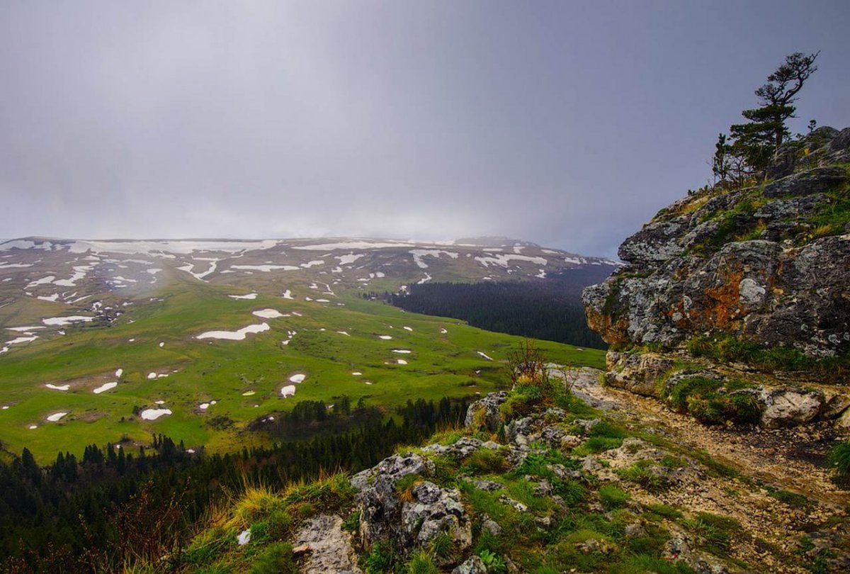 Высокогорное плато Лаго-Наки (Адыгея).