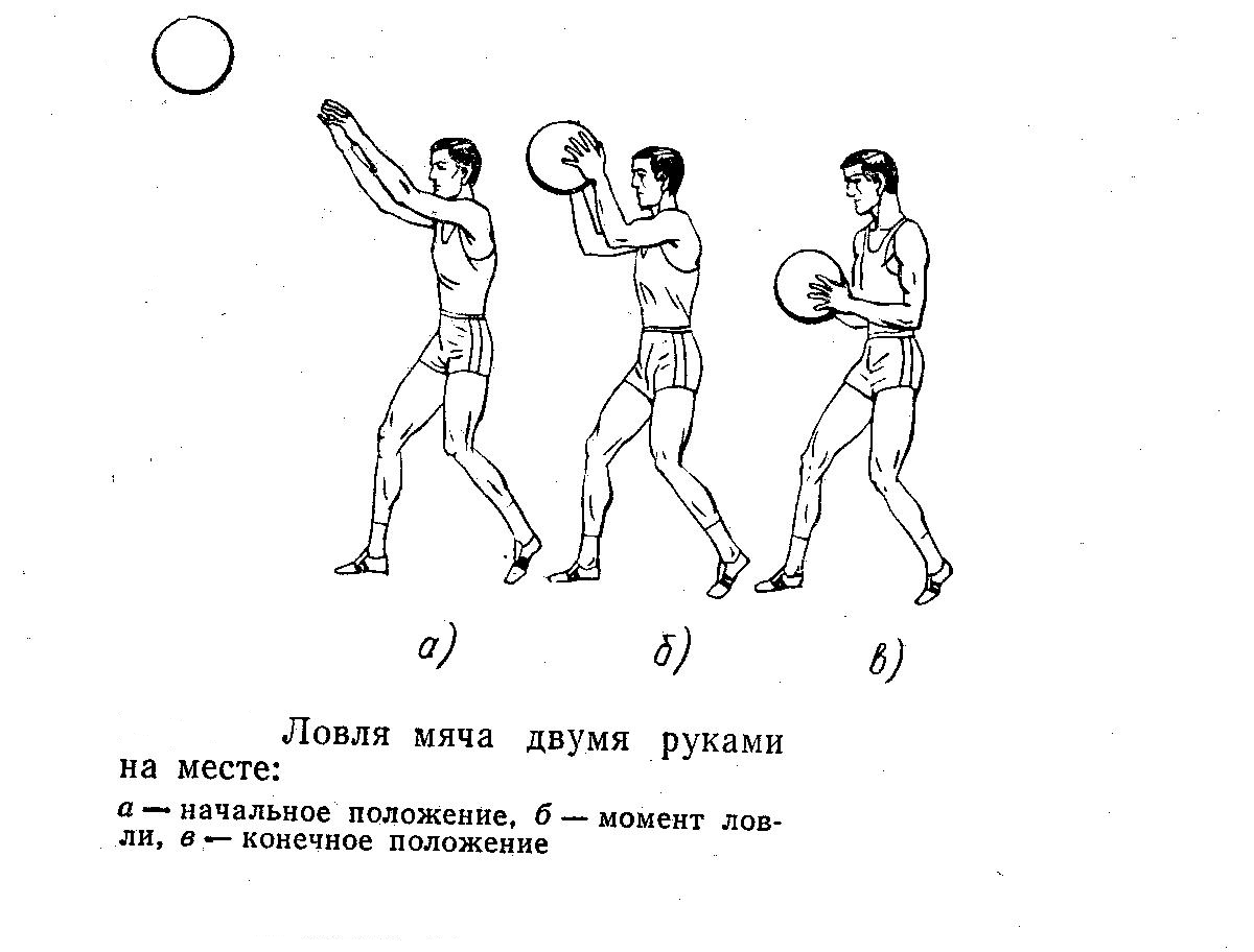 Ловля баскетбольного мяча двумя руками
