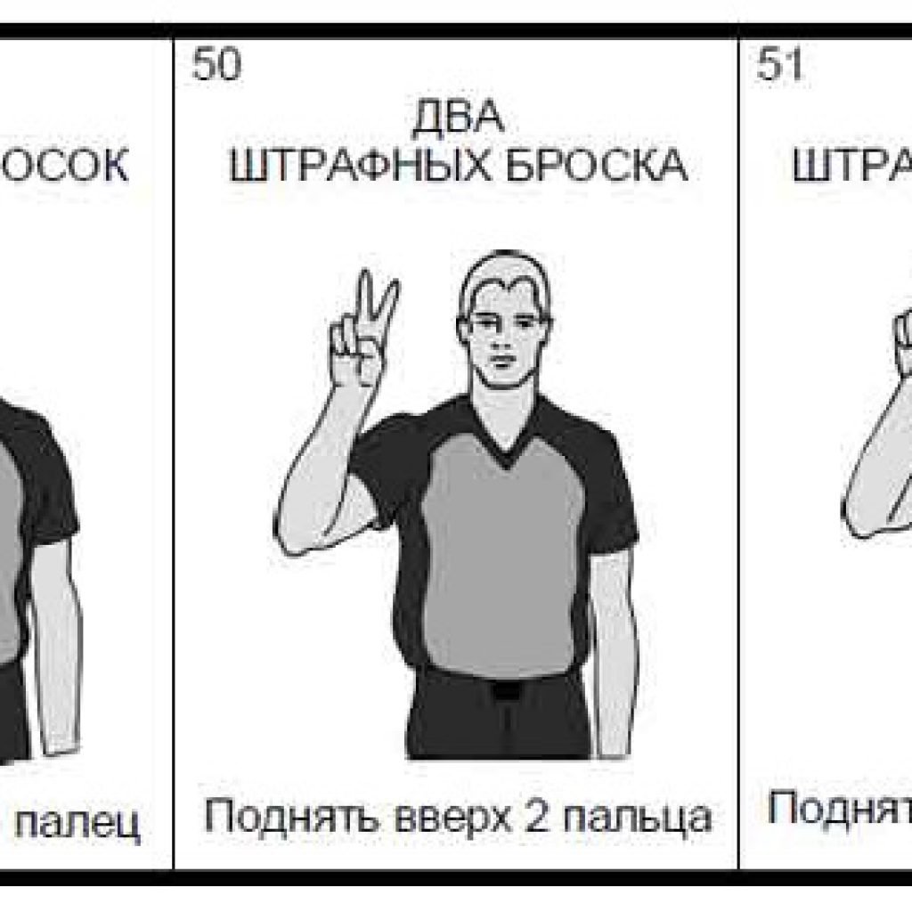 Боровков Евгений судья хоккей