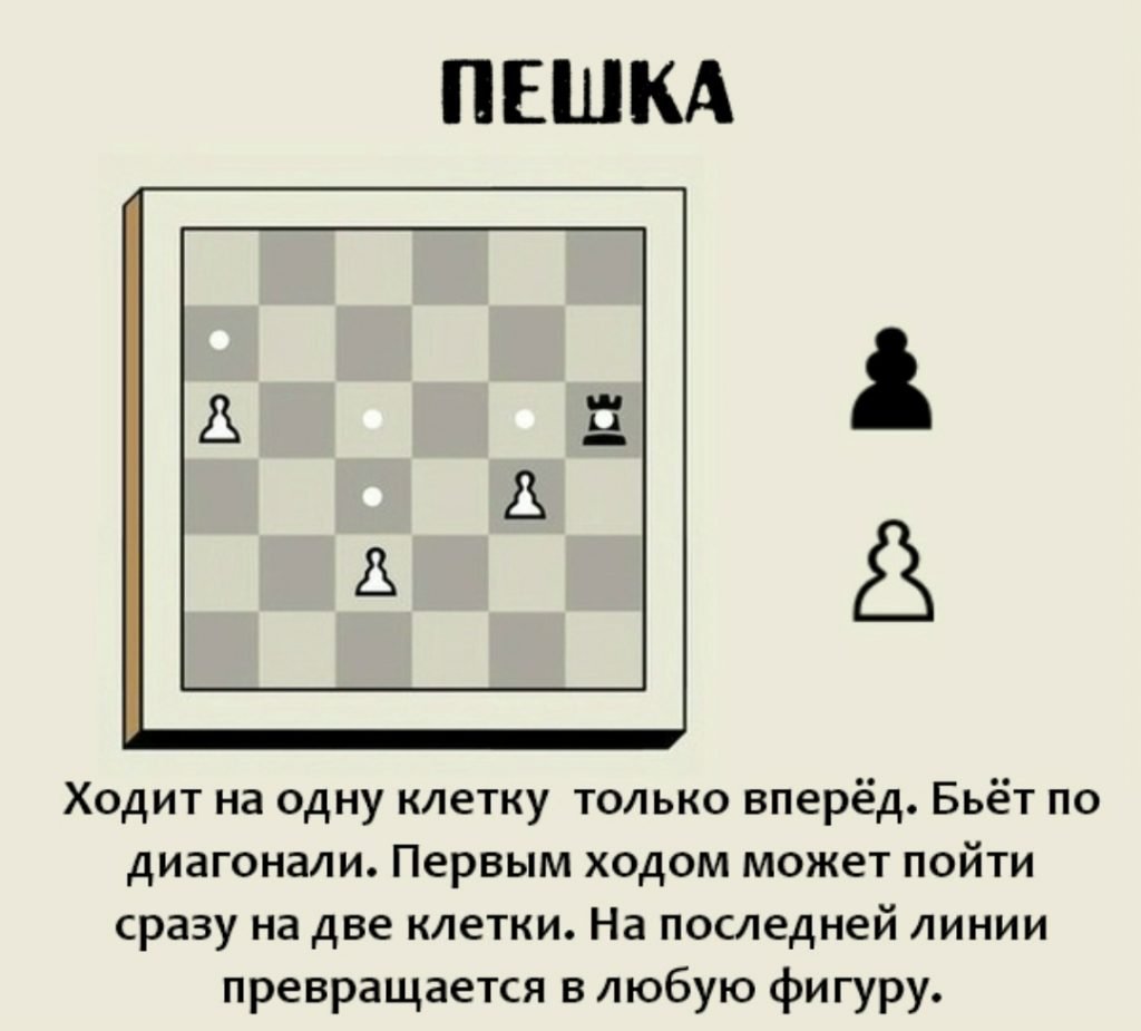 Король шахматы Эстетика