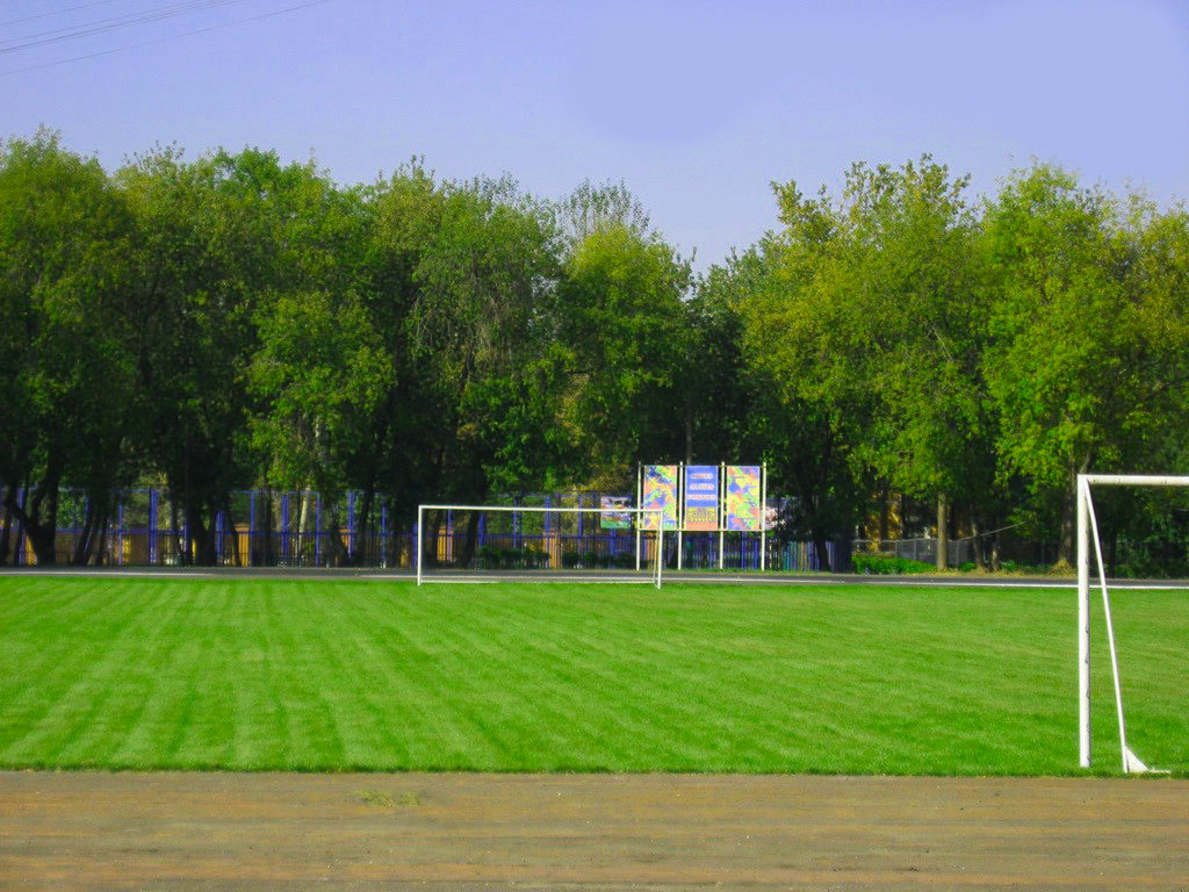 Стадион энергия Омск