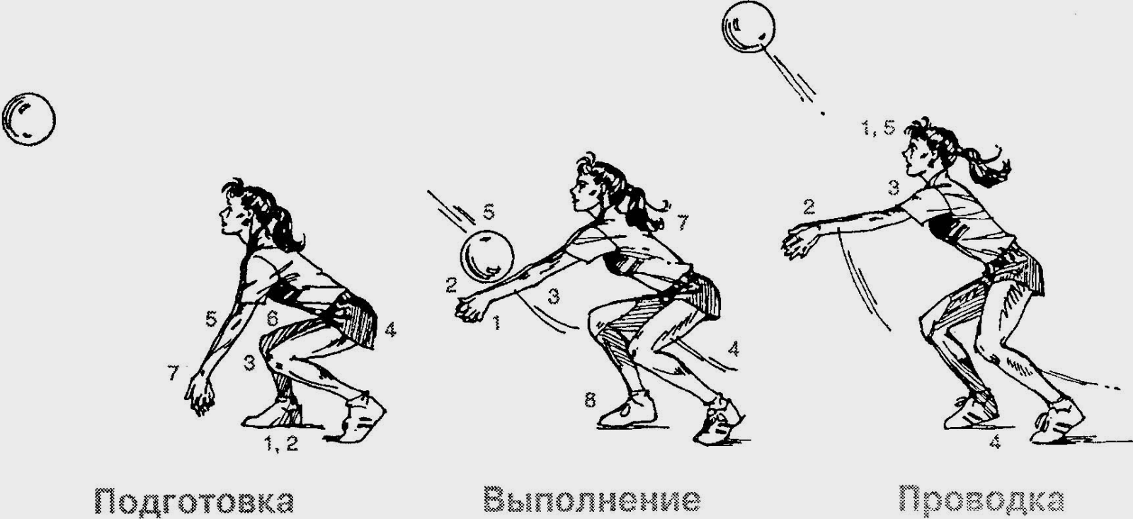 Прием подачи снизу. Приемы отбивания мяча в волейболе. Как отбивать мяч в волейболе. Как правило отбивать мяч в волейболе. Правильный прием снизу в волейболе.