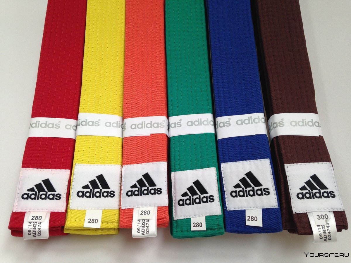 Пояса по КУДО