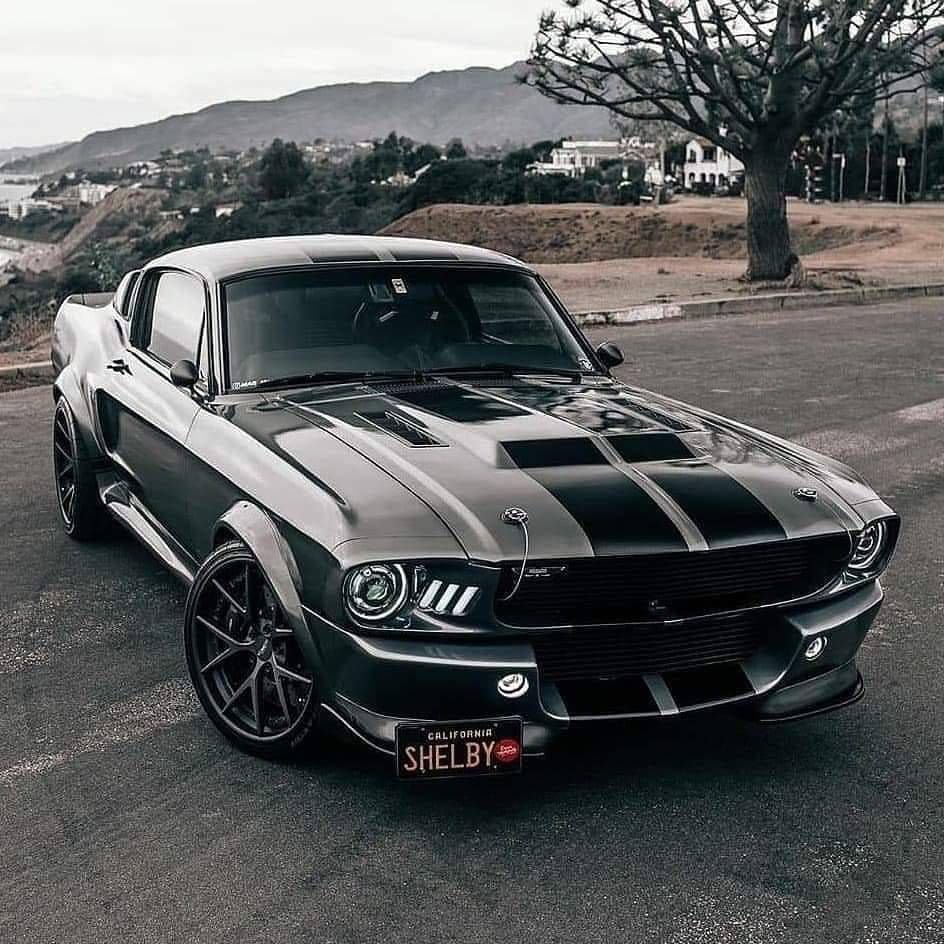 Ford Mustang Shelby gt500 2010