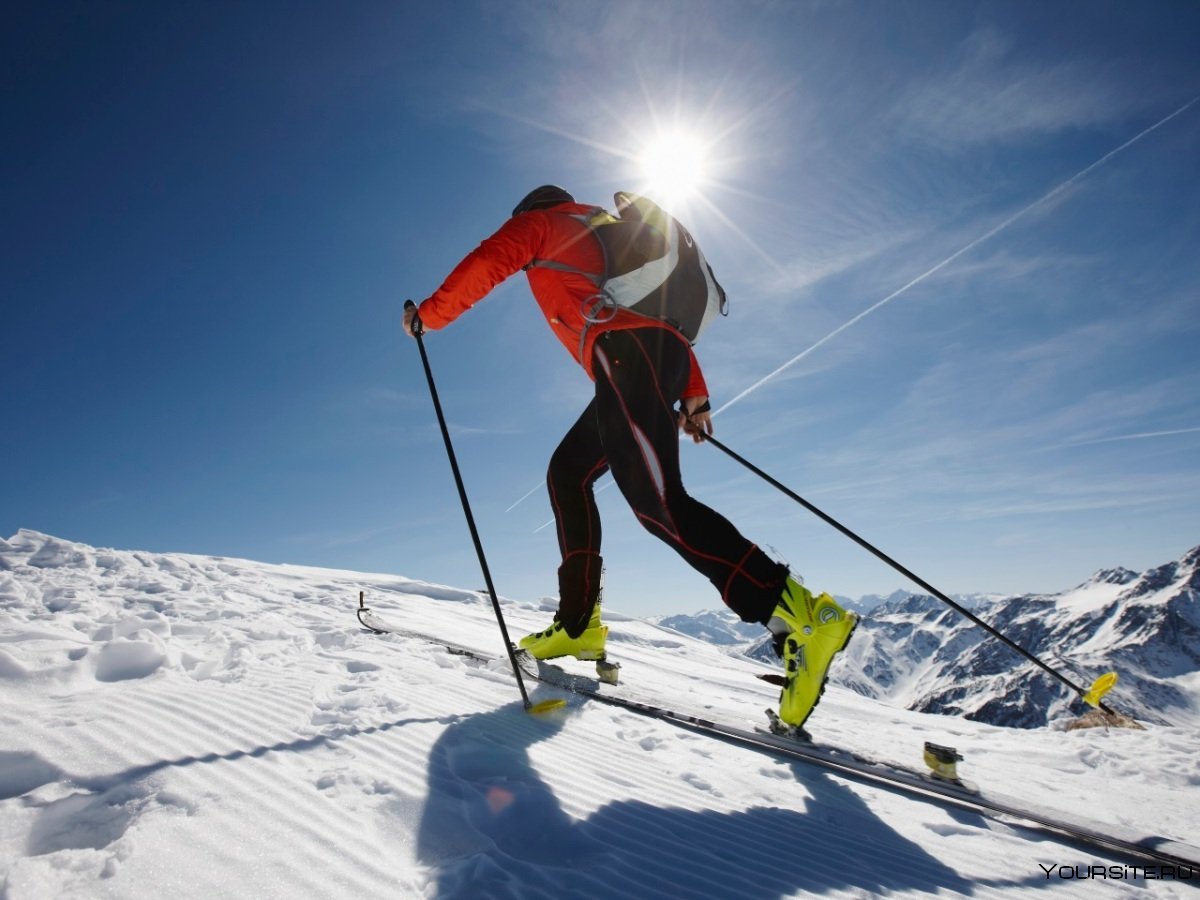 Мышцы задействованные в лыжном спорте