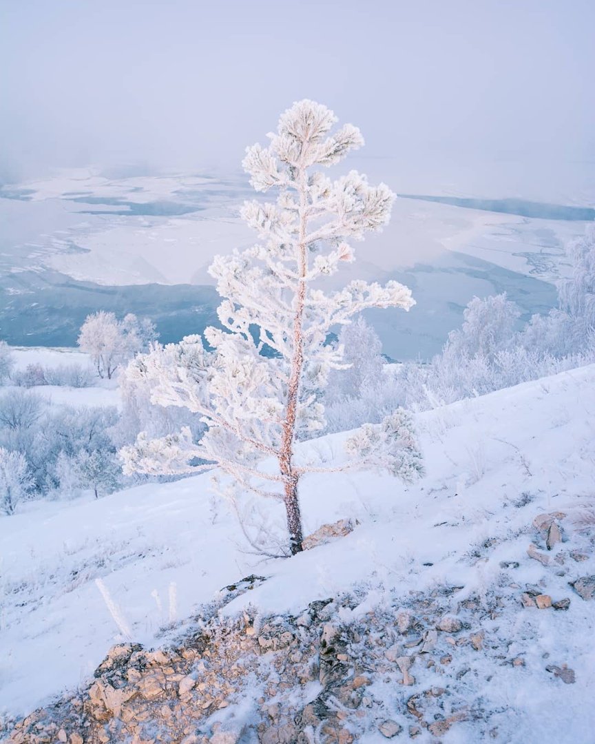 Тольятти природа Жигулевские горы зимой