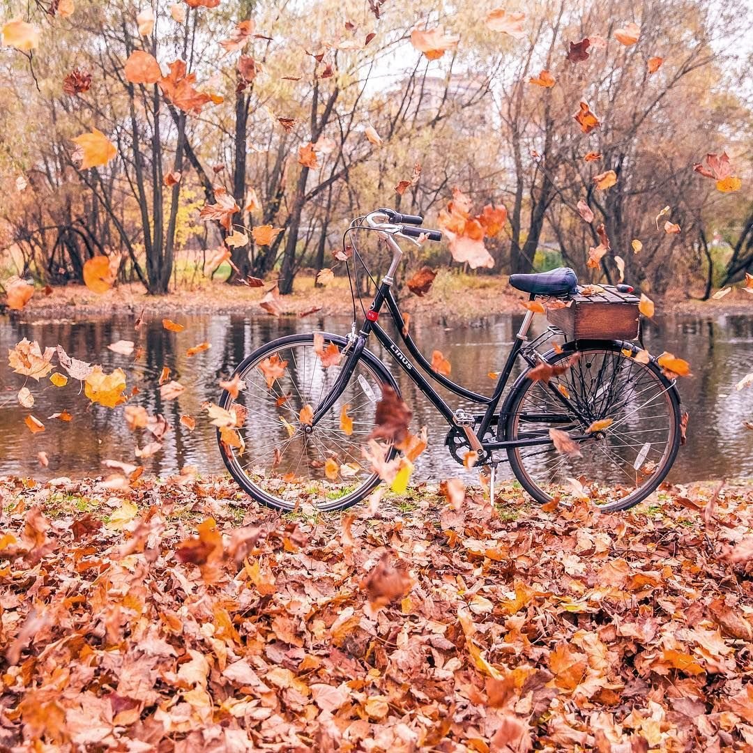 Велосипед осень