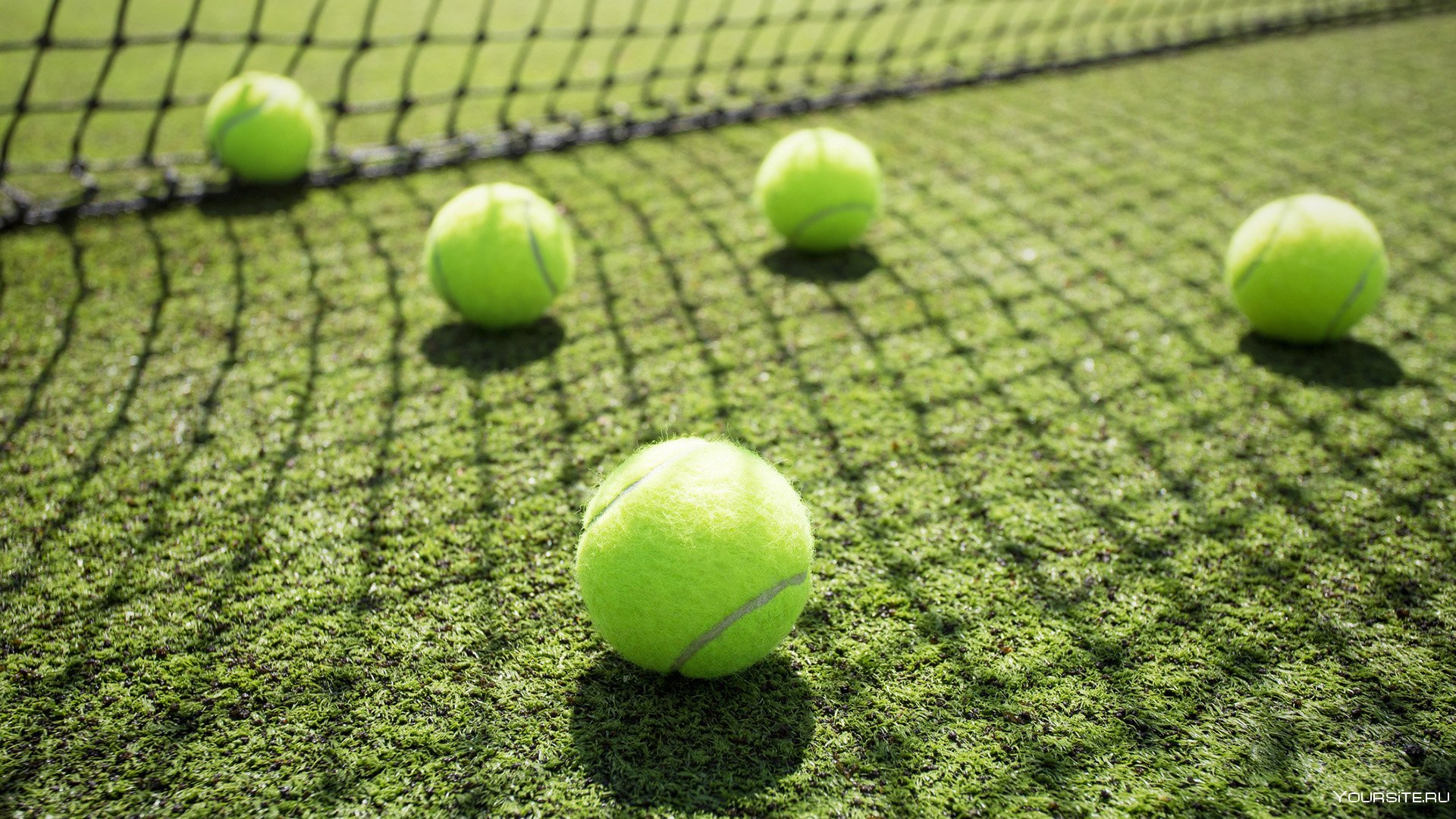 Игры с теннисными шариками. Теннисный мяч Уимблдон. Теннисный корт трава. Теннис на траве Уимблдон. Травяной корт.