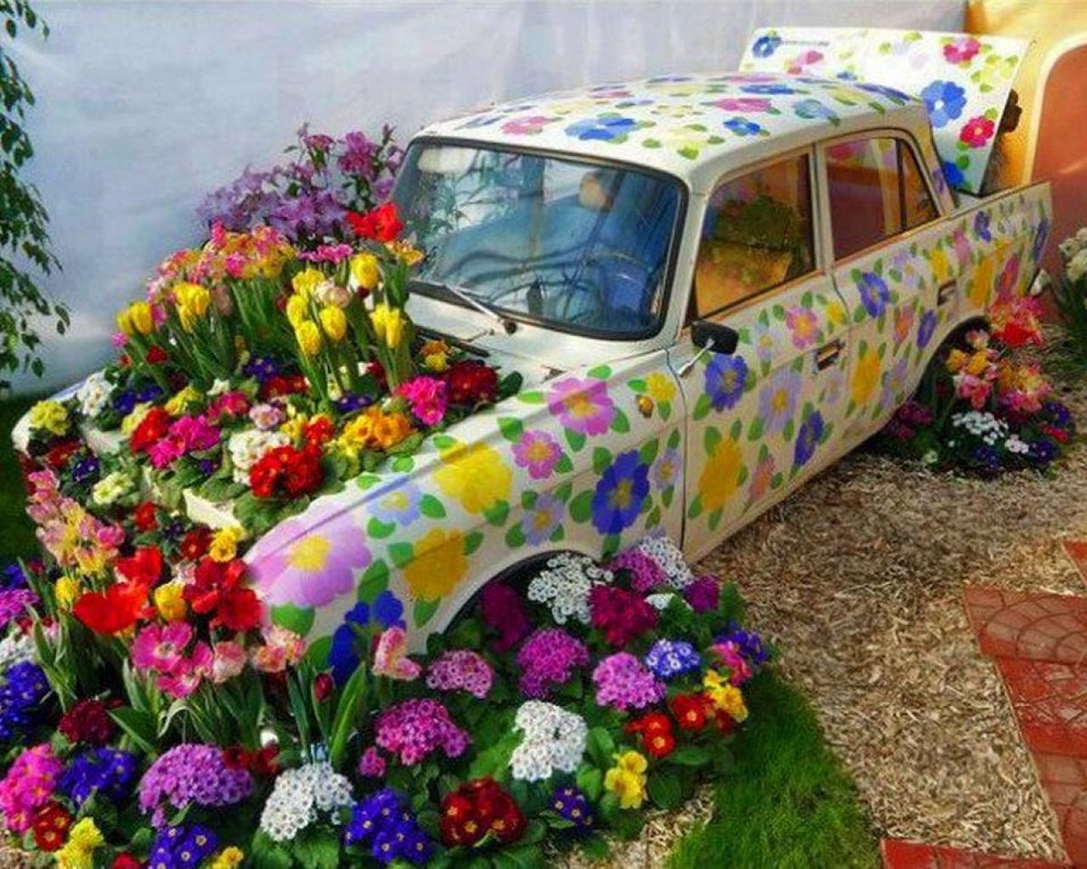 Таджик привез две машины цветов. Клумба из автомобиля. Необычные клумбы для цветов. Машина в цветах. Цветник из старого автомобиля.