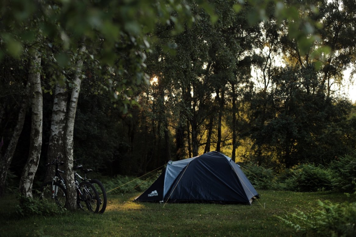 Кемпинг в лесу с палатками