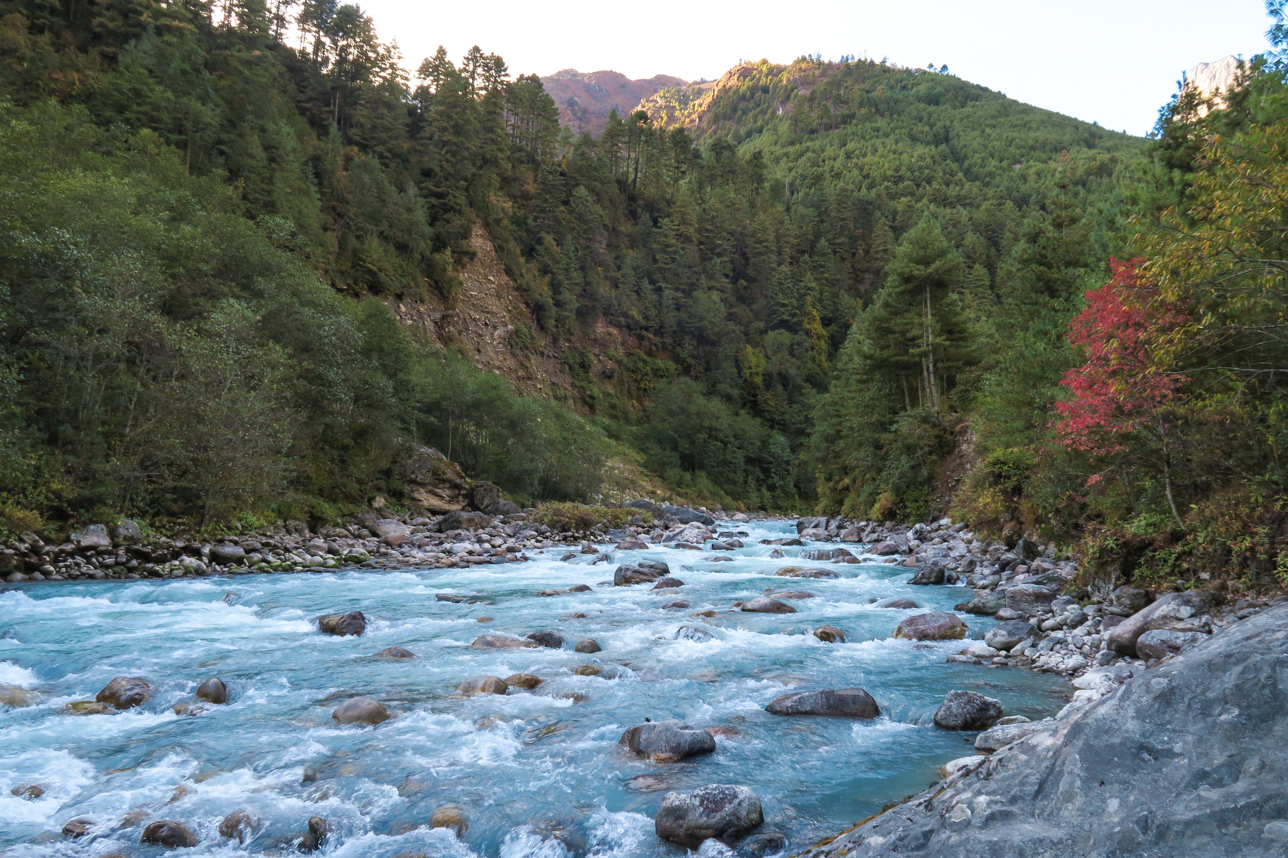 Какие есть горные реки. Горные реки в Гималаях. Гималаи Горная речка. Горные реки Приморского края. Горная река Сочи бурная.