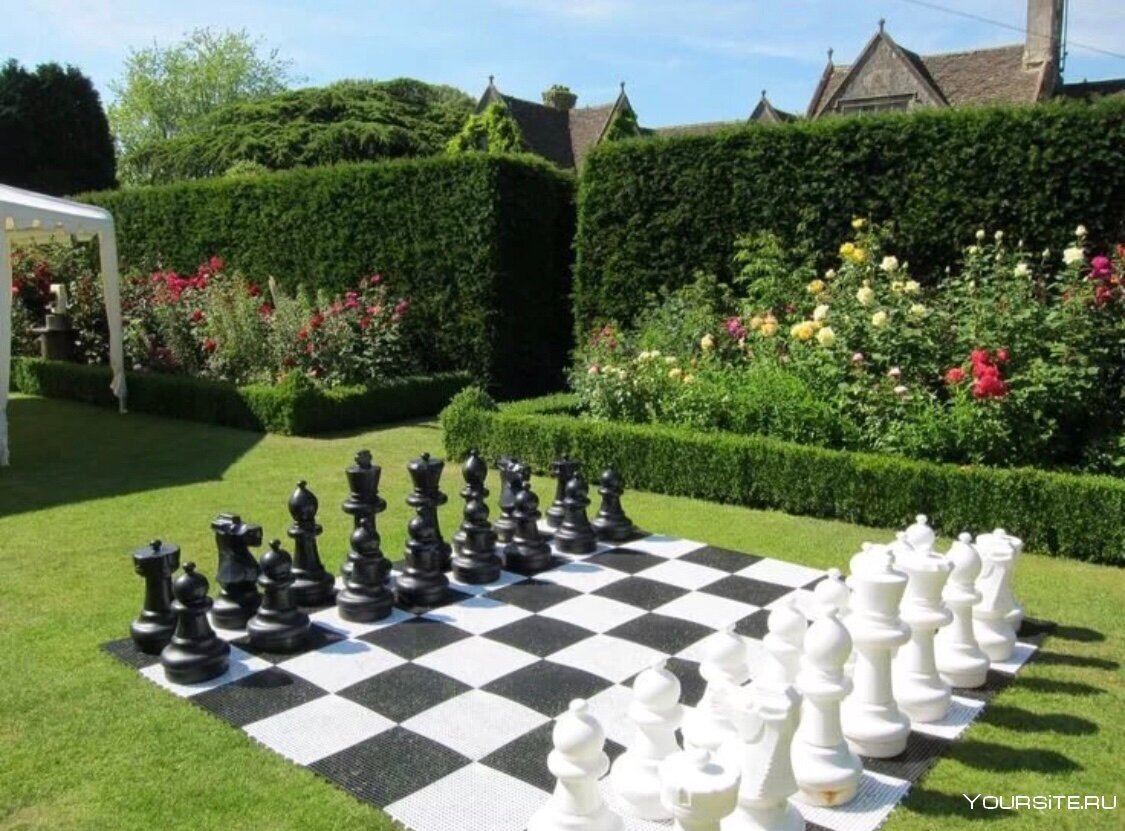 Шахматы в саду