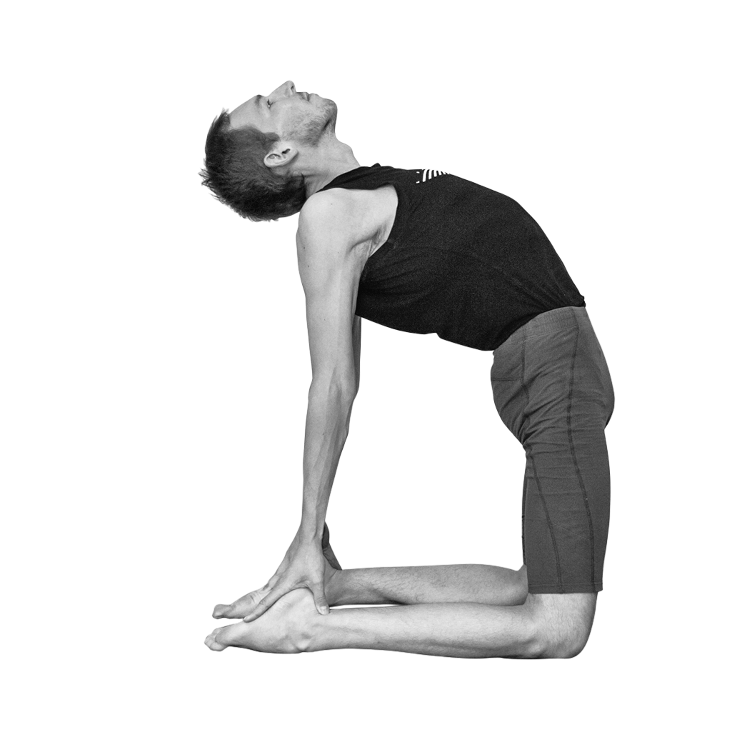 Врикшасана Айенгар