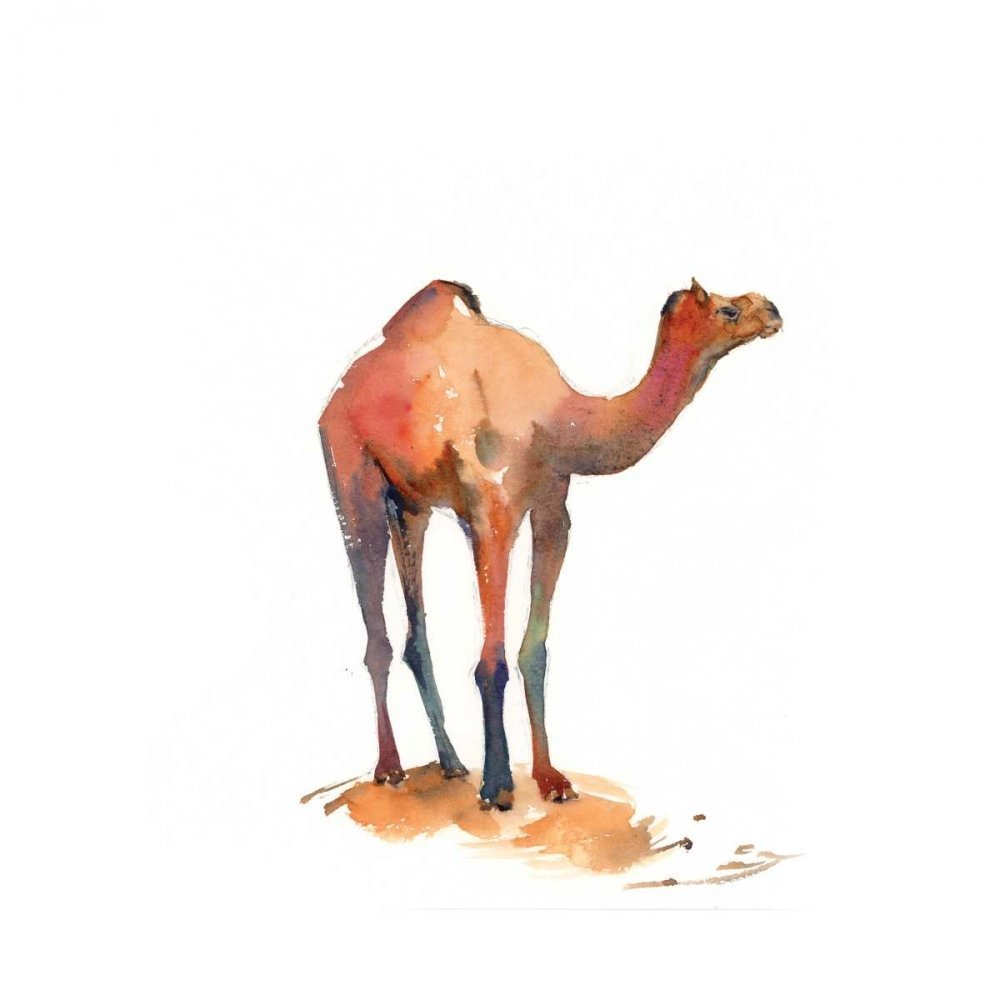 Camel by Camel Постер