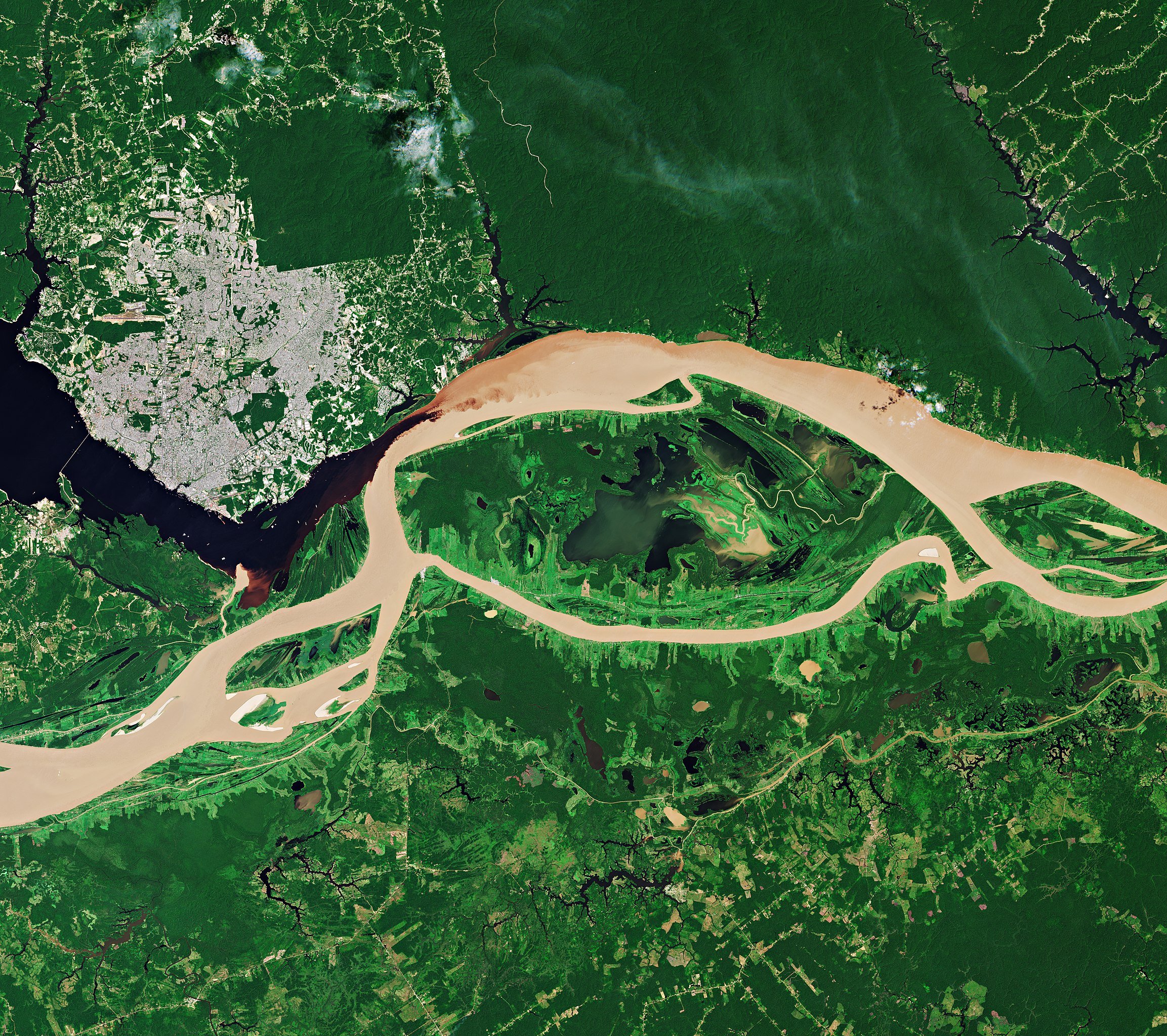 амазонка река впадает в океан
