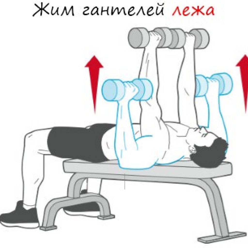 Dumbbell overhead Triceps Extension