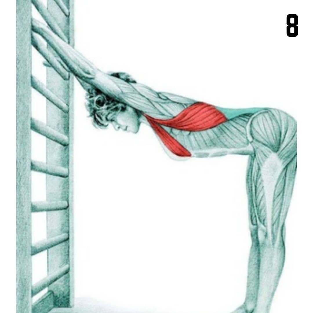 Упражнения для растяжки мышц спины