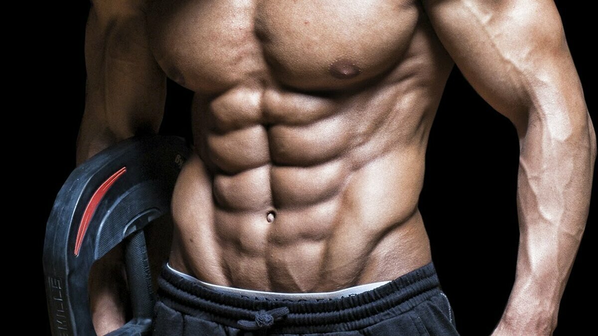 Transversus abdominis мышца