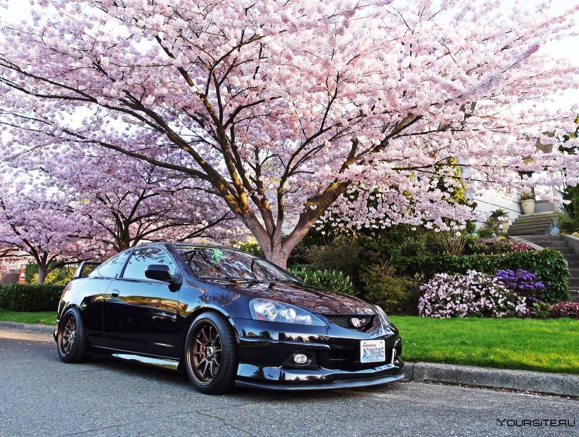 Toyota Mark x 2013