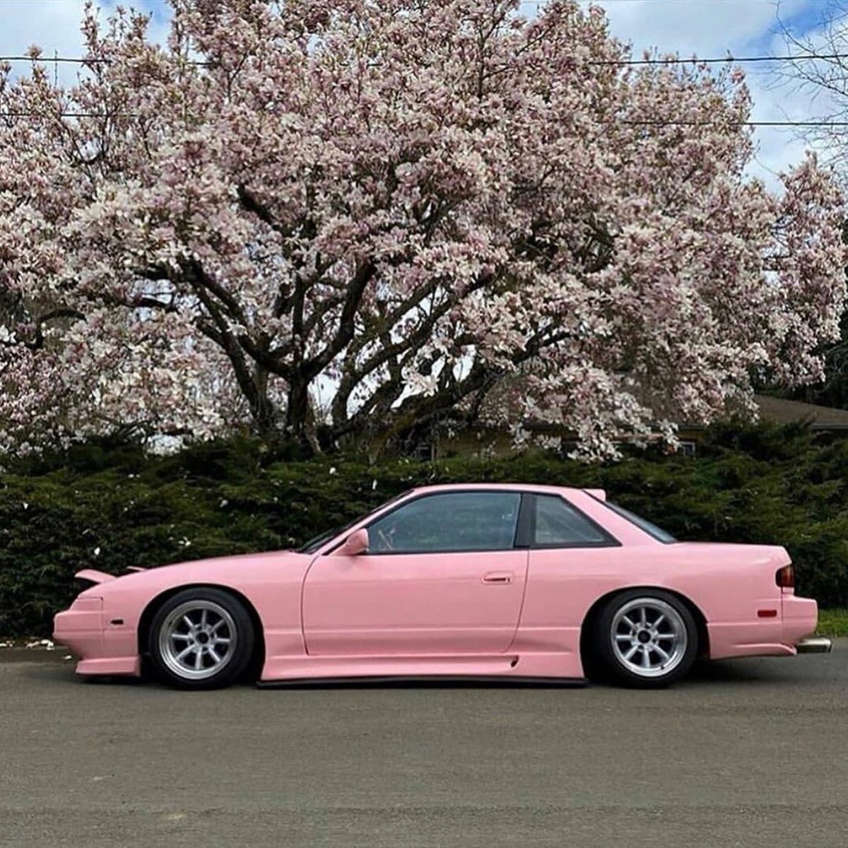 Nissan Silvia s13 Сакура