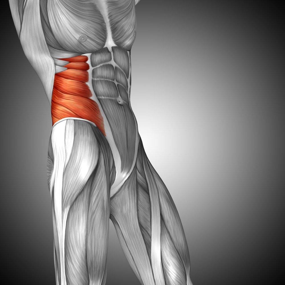 Связка Генле паховый серп