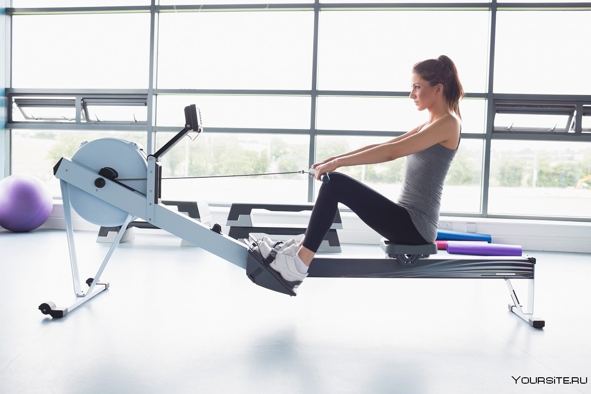 Seated Cable Row