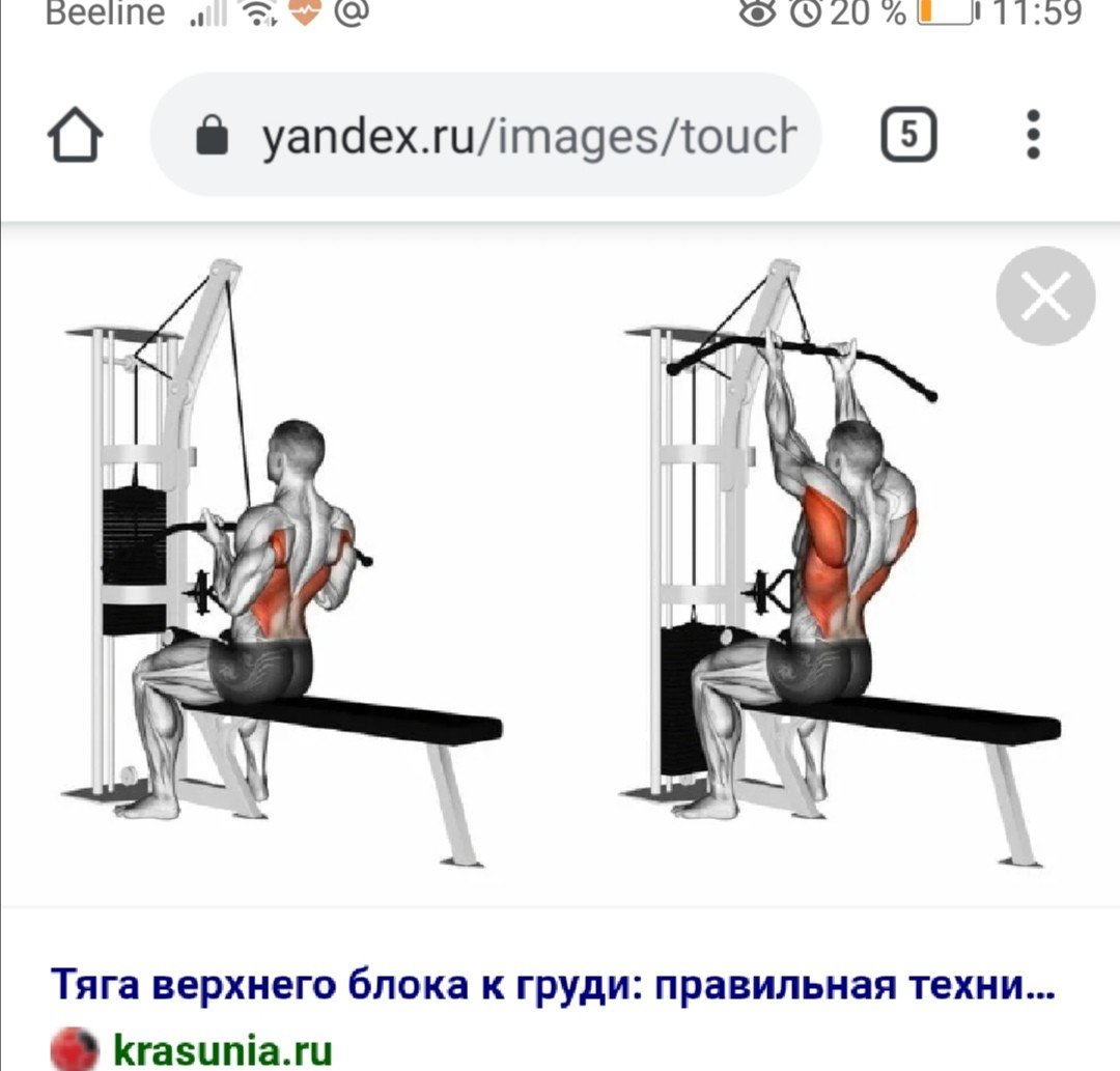 Упражнение гребля на тренажере