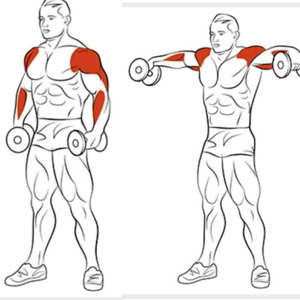 Тренировка дельтовидных мышц