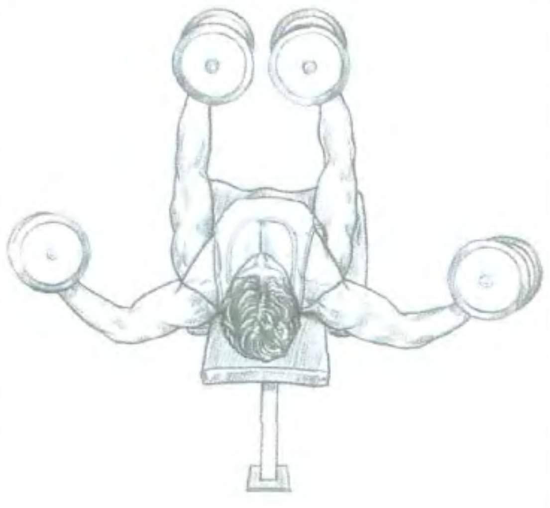 Упражнения на грудь в тренажерном для девушек