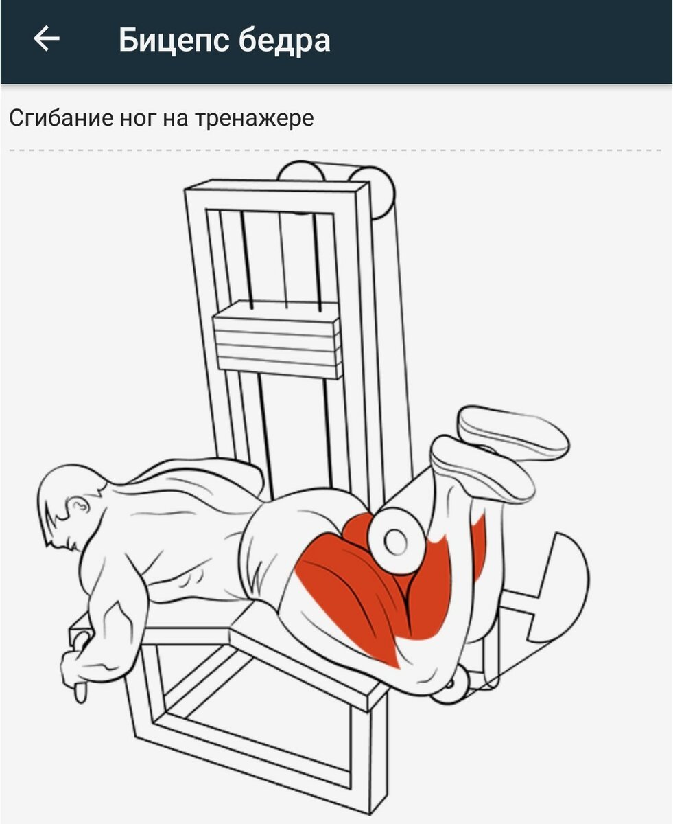 Бицепс бедра лежа