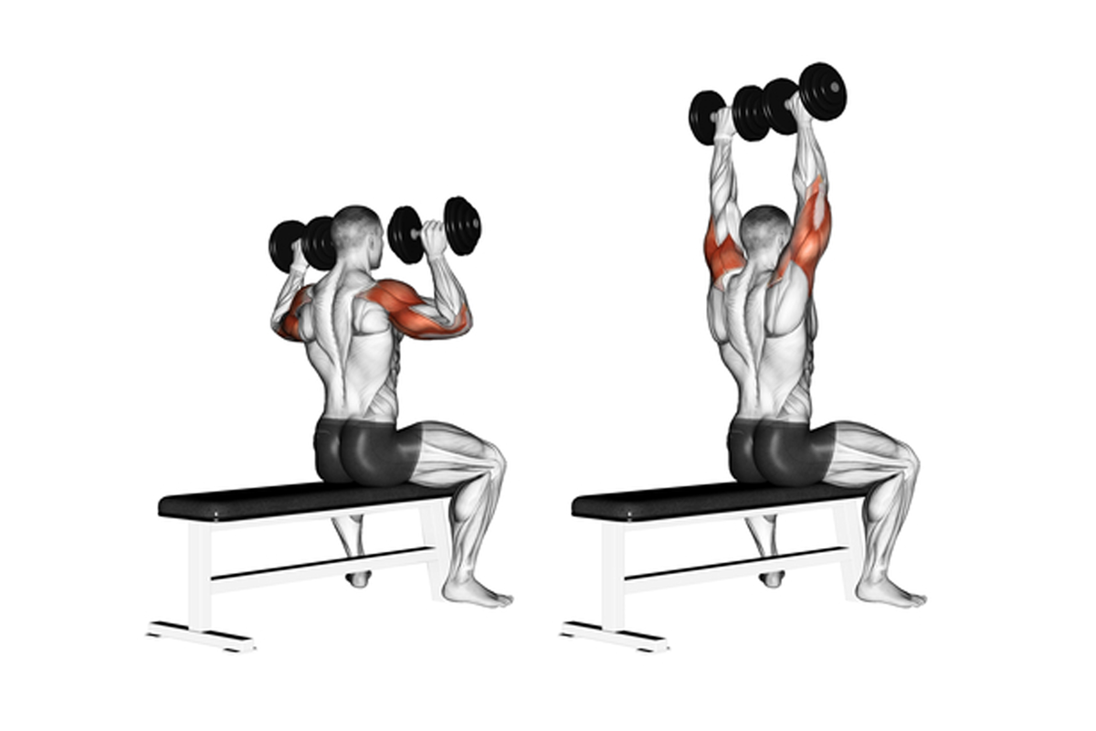Triceps Extension упражнение
