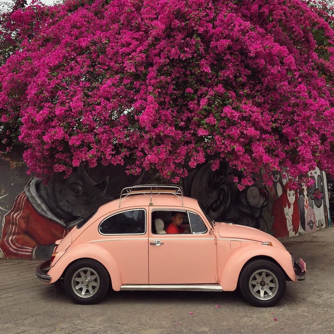 Машина в цветах